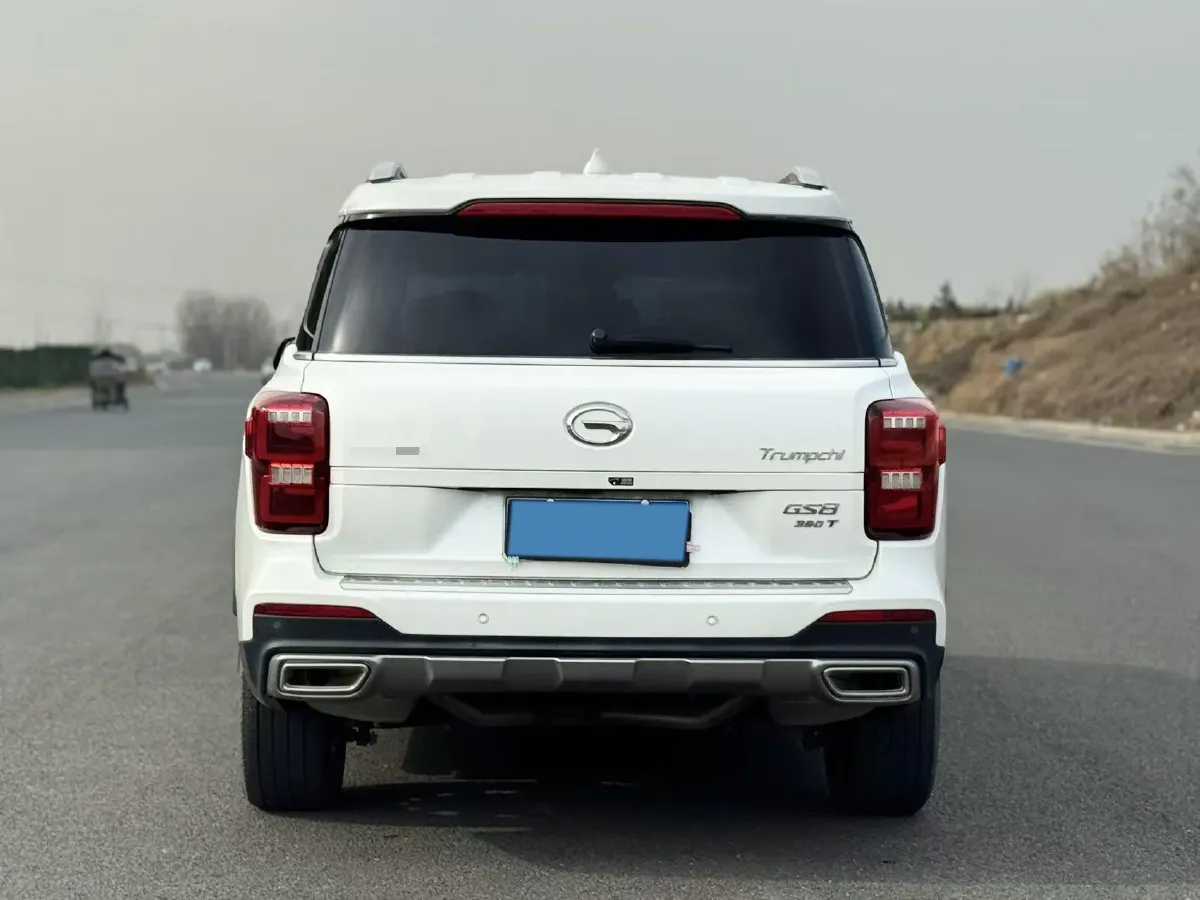 2021 GAC Trumpchi GS8 2.0T 252HP L4 6AT,autocango,china used car exporter,china ev exporter,chinese used car exporter,chinese used ev exporter