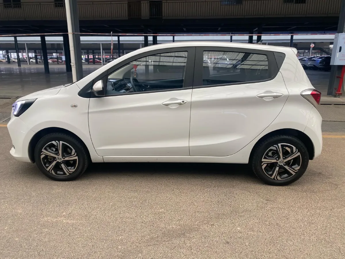 2022 ChangAn BenBen E-Star BEV 31.95KWH,autocango,china used car exporter,china ev exporter,chinese used car exporter,chinese used ev exporter