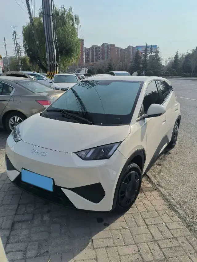 2025 BYD Seagull BEV 30.08KWH