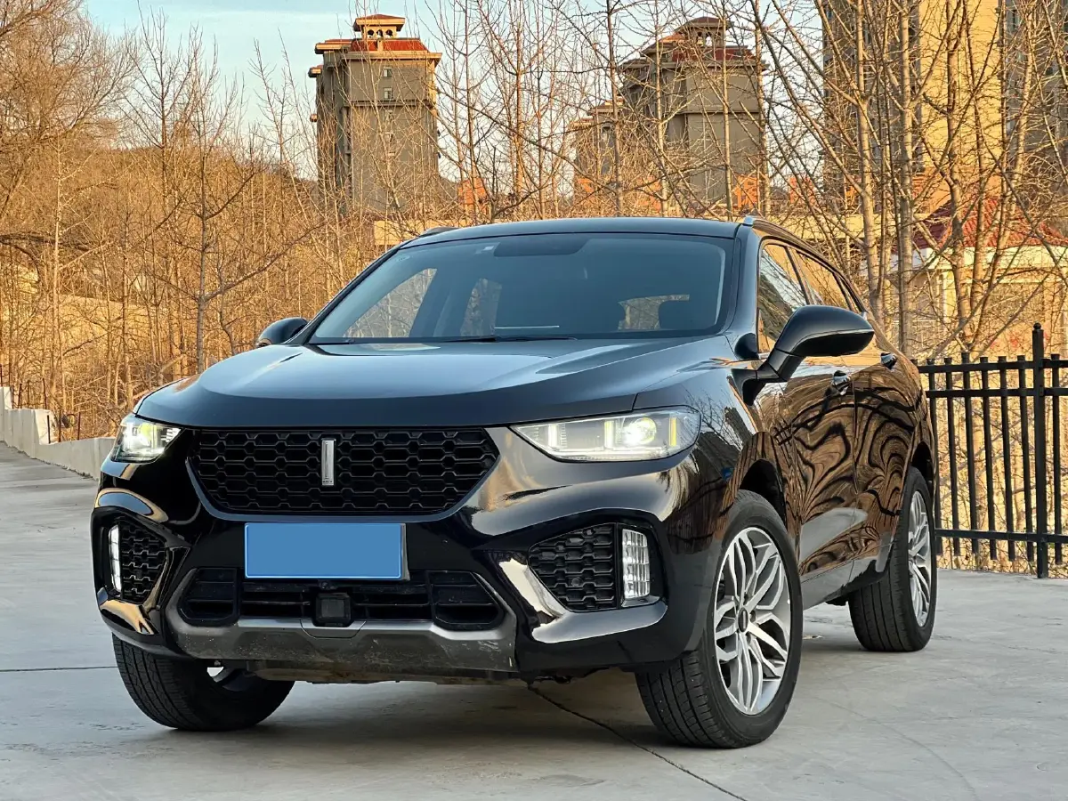 2019 WEY VV5 2.0T 224HP L4 7DCT