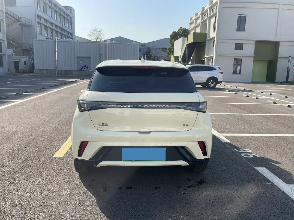 2025 BYD Dolphin BEV 44.928KWH,autocango,china used car exporter,china ev exporter,chinese used car exporter,chinese used ev exporter