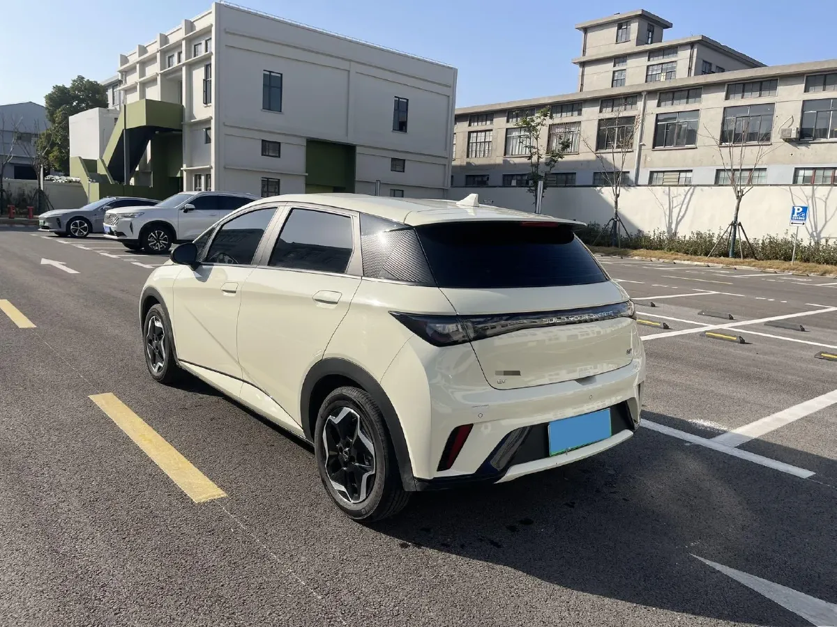 2025 BYD Dolphin BEV 44.928KWH,autocango,china used car exporter,china ev exporter,chinese used car exporter,chinese used ev exporter