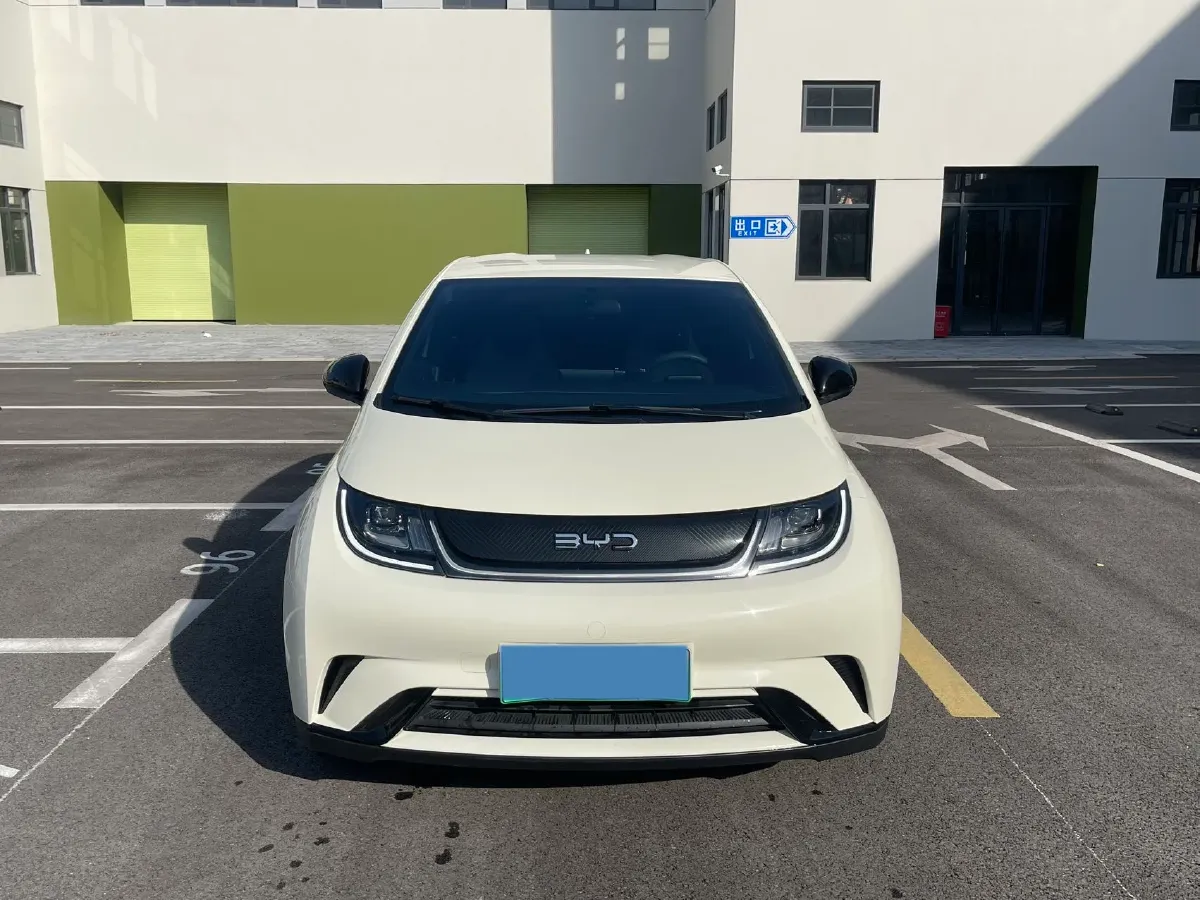 2025 BYD Dolphin BEV 44.928KWH,autocango,china used car exporter,china ev exporter,chinese used car exporter,chinese used ev exporter