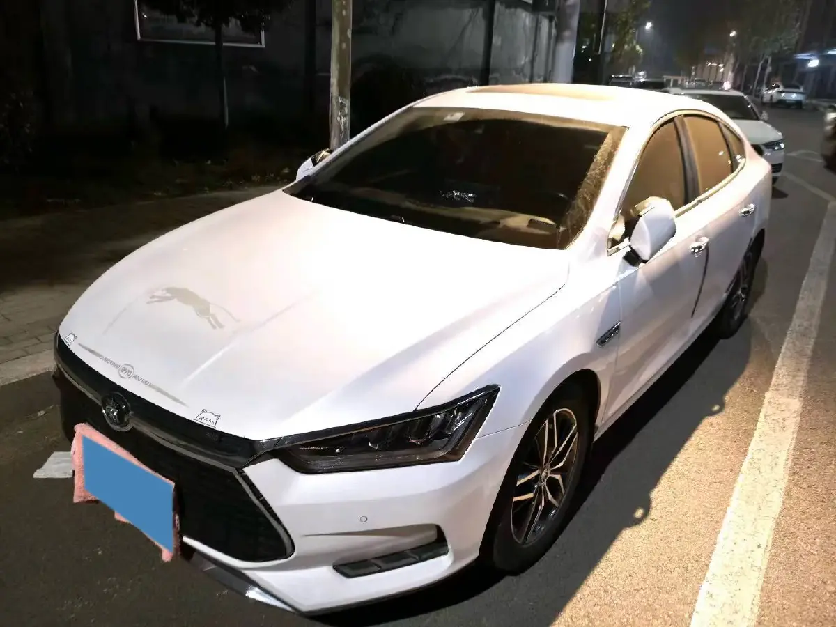 2019 BYD Qin Pro BEV 69.5KWH