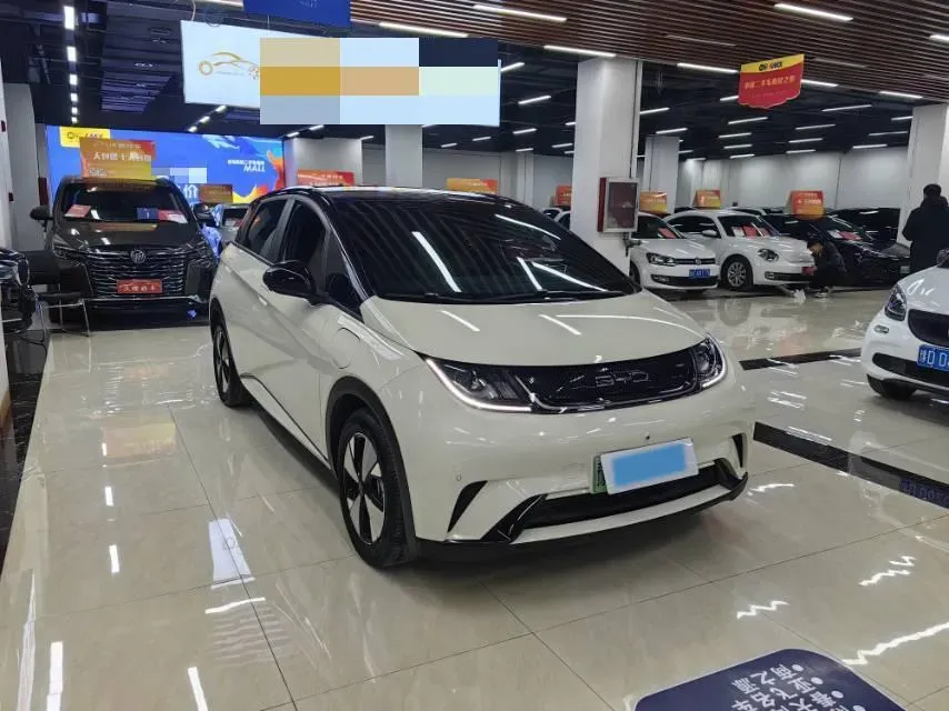 2023 BYD Dolphin BEV 44.928KWH,autocango,china used car exporter,china ev exporter,chinese used car exporter,chinese used ev exporter