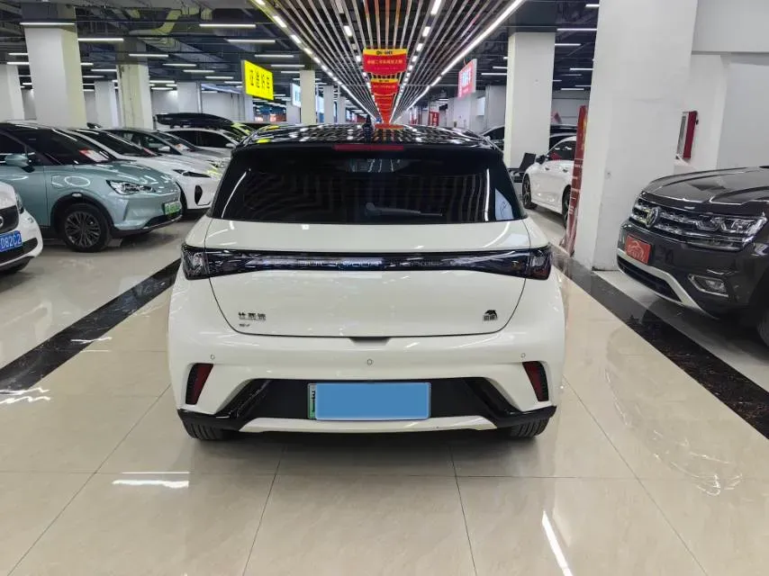2023 BYD Dolphin BEV 44.928KWH,autocango,china used car exporter,china ev exporter,chinese used car exporter,chinese used ev exporter
