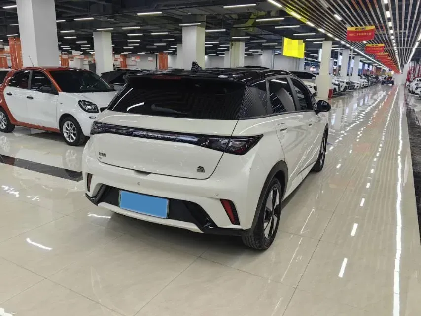 2023 BYD Dolphin BEV 44.928KWH,autocango,china used car exporter,china ev exporter,chinese used car exporter,chinese used ev exporter