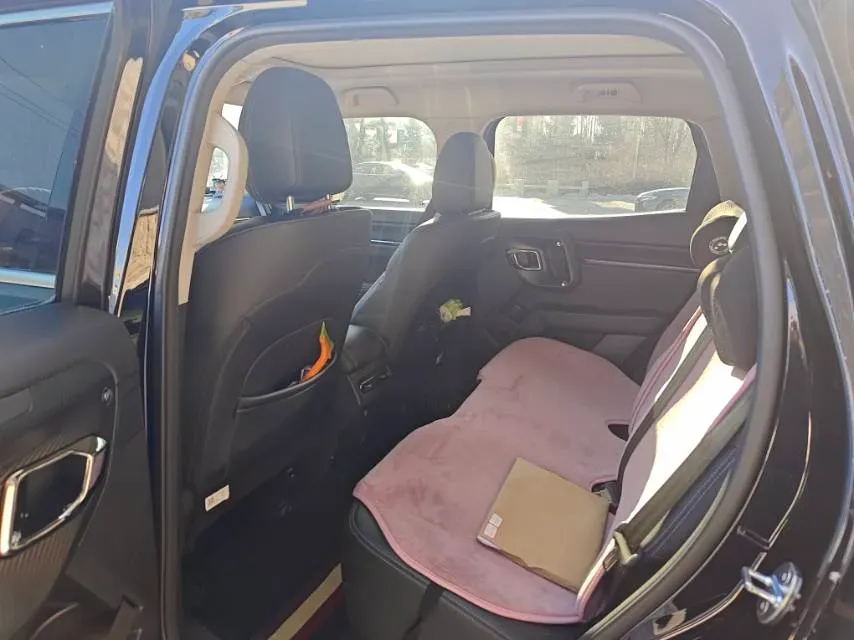 2023 Haval Dargo PLUS 1.5T 184HP L4 7DCT,autocango,china used car exporter,china ev exporter,chinese used car exporter,chinese used ev exporter