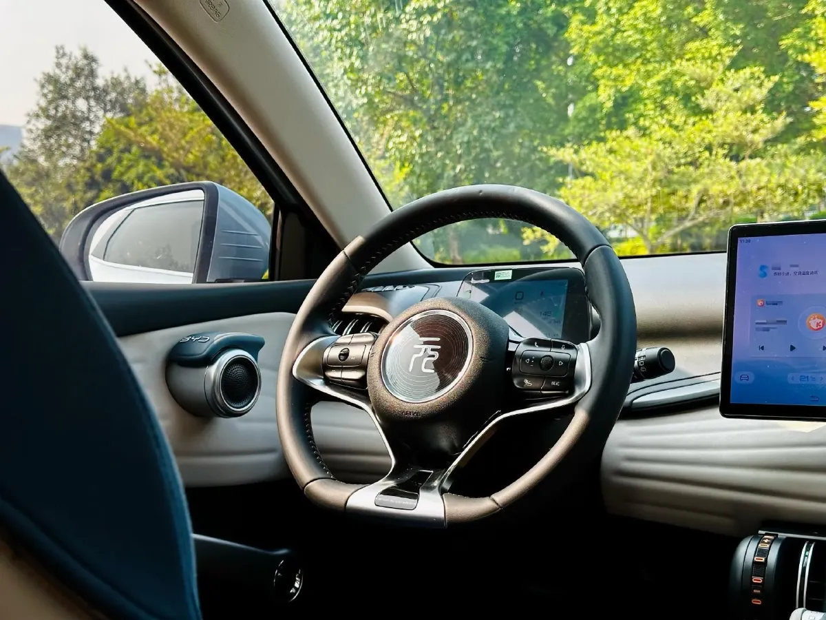 2023 BYD Yuan Plus BEV 49.92KWH,autocango,china used car exporter,china ev exporter,chinese used car exporter,chinese used ev exporter