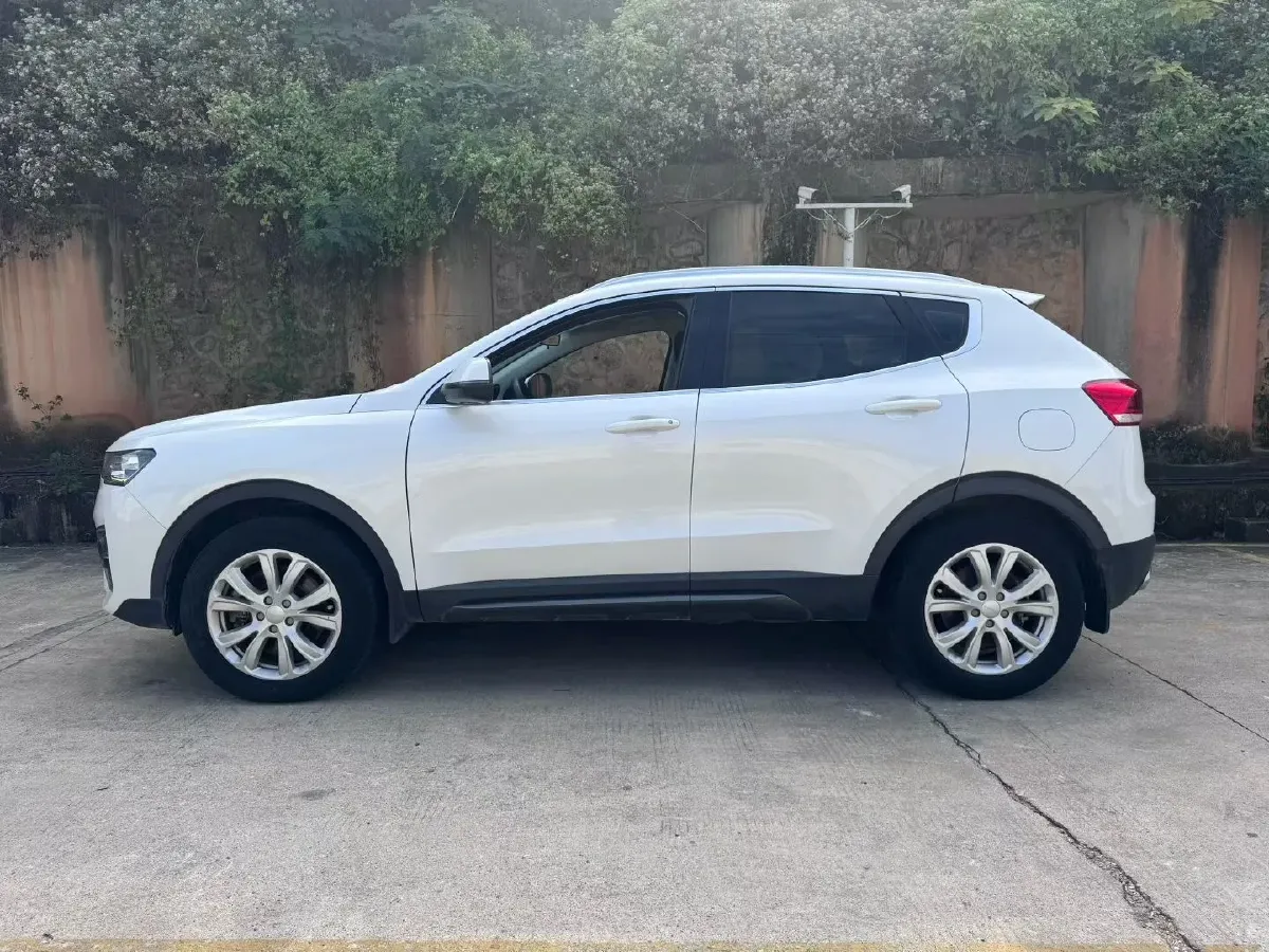 2019 Haval H4 1.5T 169HP L4 6MT,autocango,china used car exporter,china ev exporter,chinese used car exporter,chinese used ev exporter