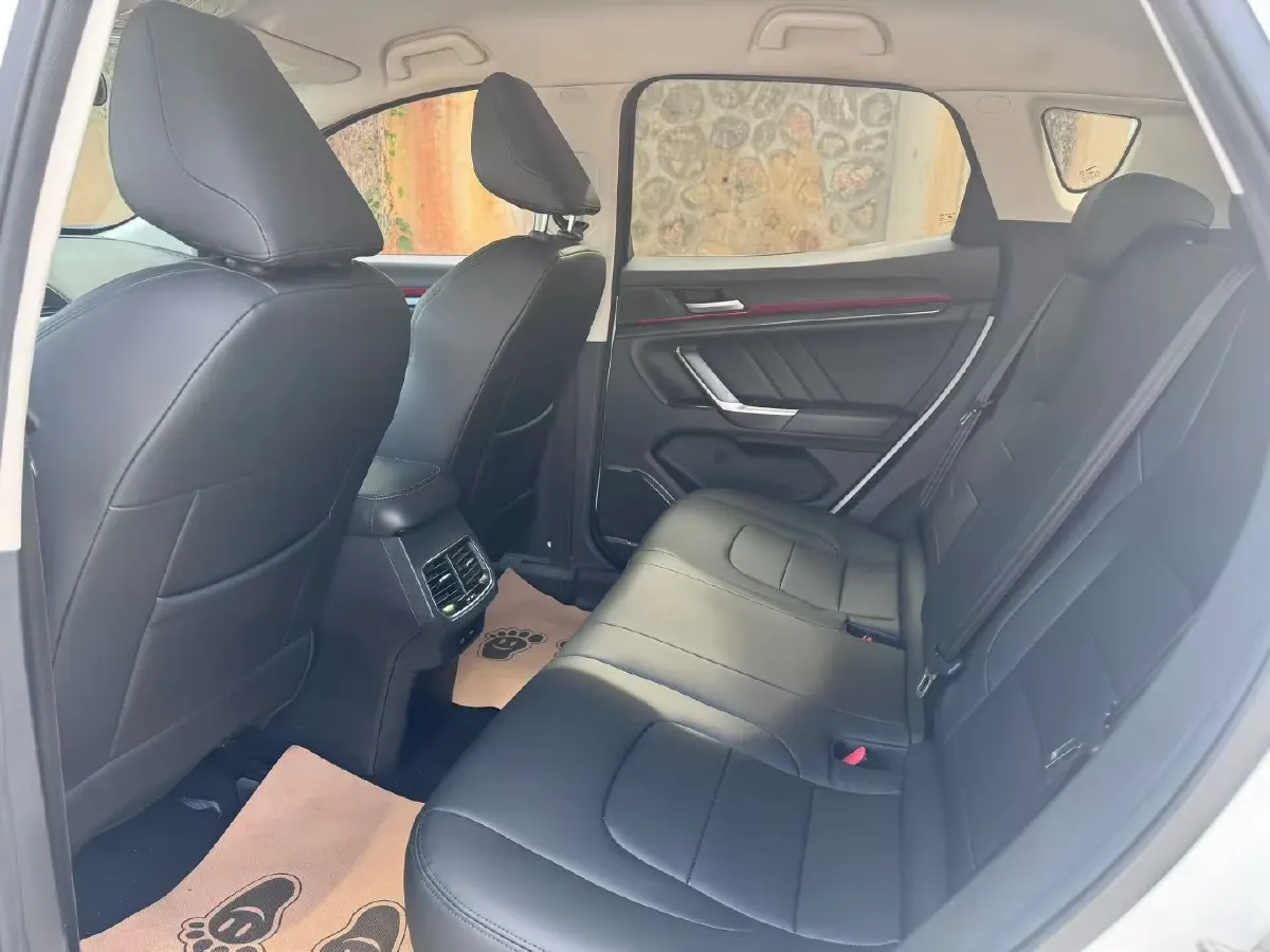 2019 Haval H4 1.5T 169HP L4 6MT,autocango,china used car exporter,china ev exporter,chinese used car exporter,chinese used ev exporter