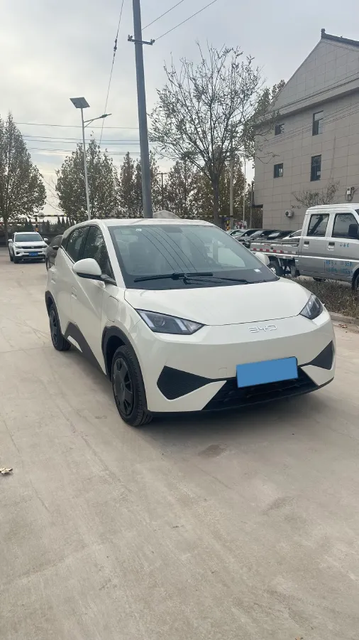 2025 BYD Seagull BEV 30.08KWH,autocango,china used car exporter,china ev exporter,chinese used car exporter,chinese used ev exporter