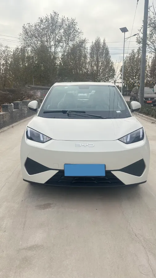 2025 BYD Seagull BEV 30.08KWH,autocango,china used car exporter,china ev exporter,chinese used car exporter,chinese used ev exporter