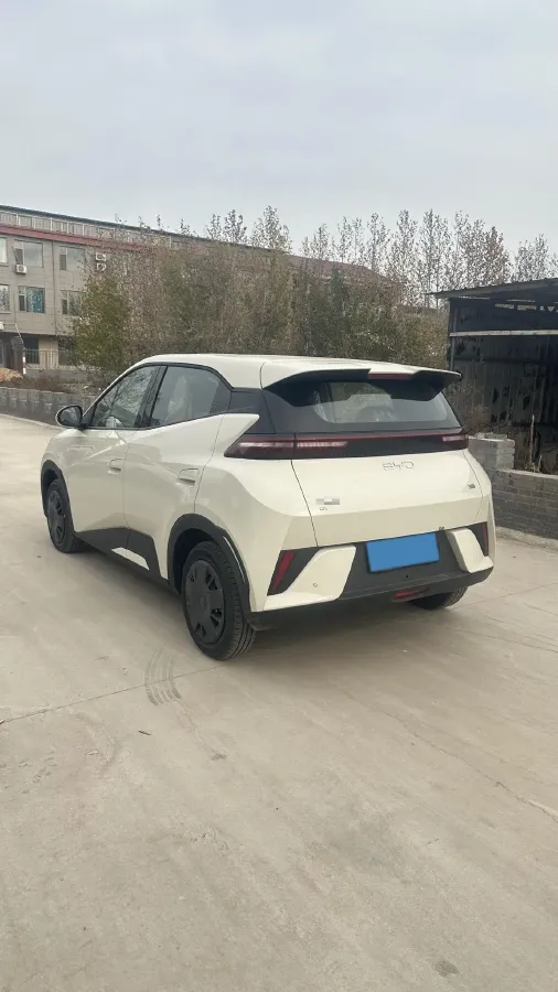 2025 BYD Seagull BEV 30.08KWH,autocango,china used car exporter,china ev exporter,chinese used car exporter,chinese used ev exporter