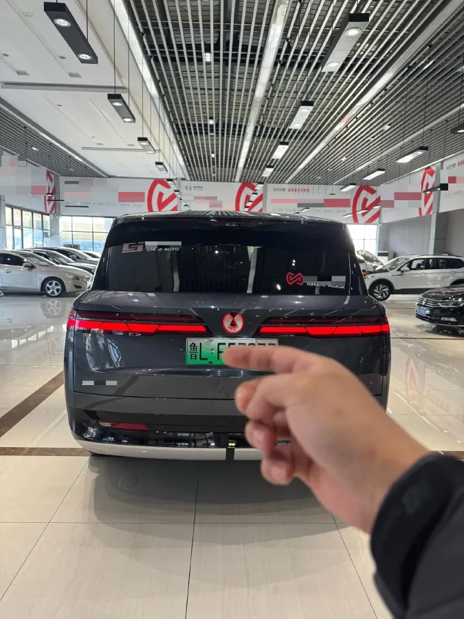 2025 Denza DenzaN9 2.0T 207HP L4 E-CVT PHEV,autocango,china used car exporter,china ev exporter,chinese used car exporter,chinese used ev exporter