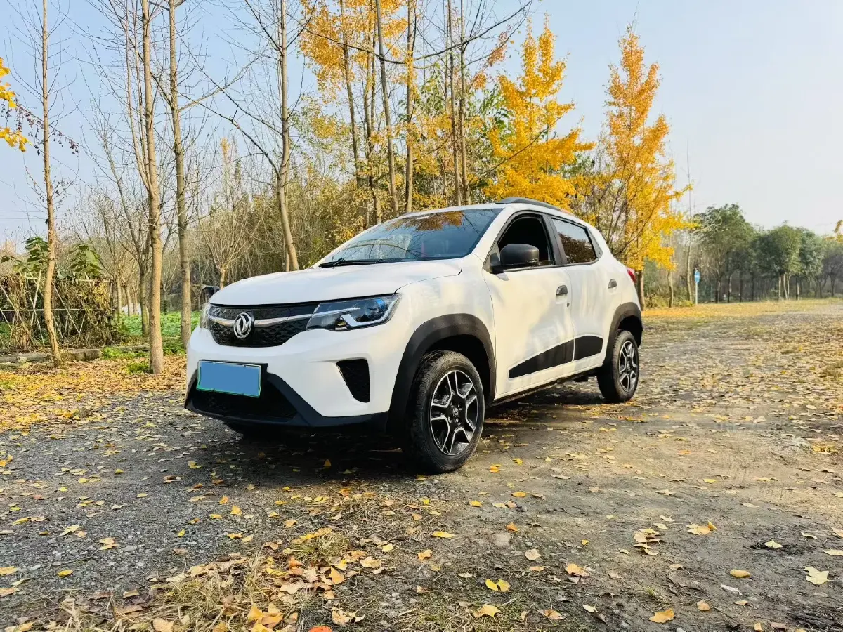 2023 DongFeng Nammi EX1 BEV 15.974KWH