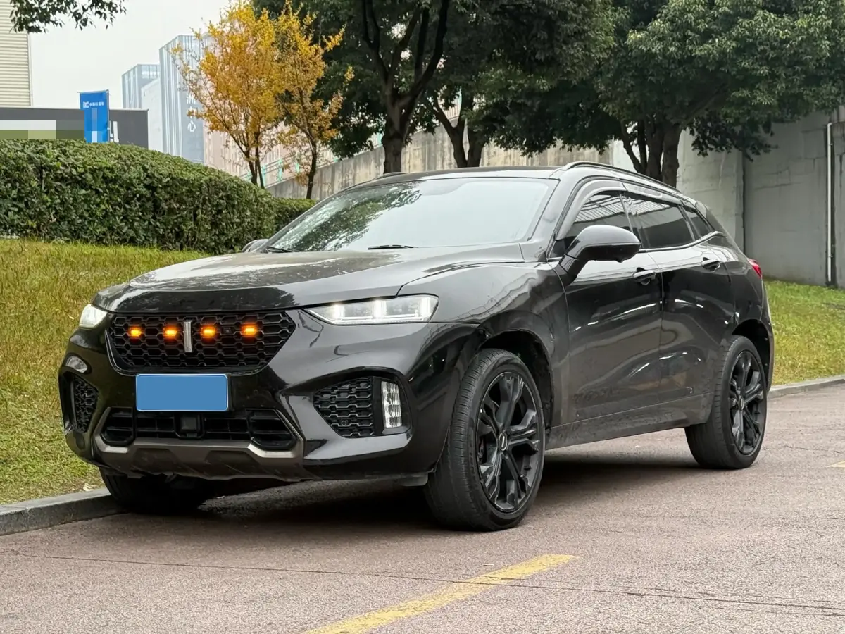 2020 WEY VV7 2.0T 227HP L4 7DCT