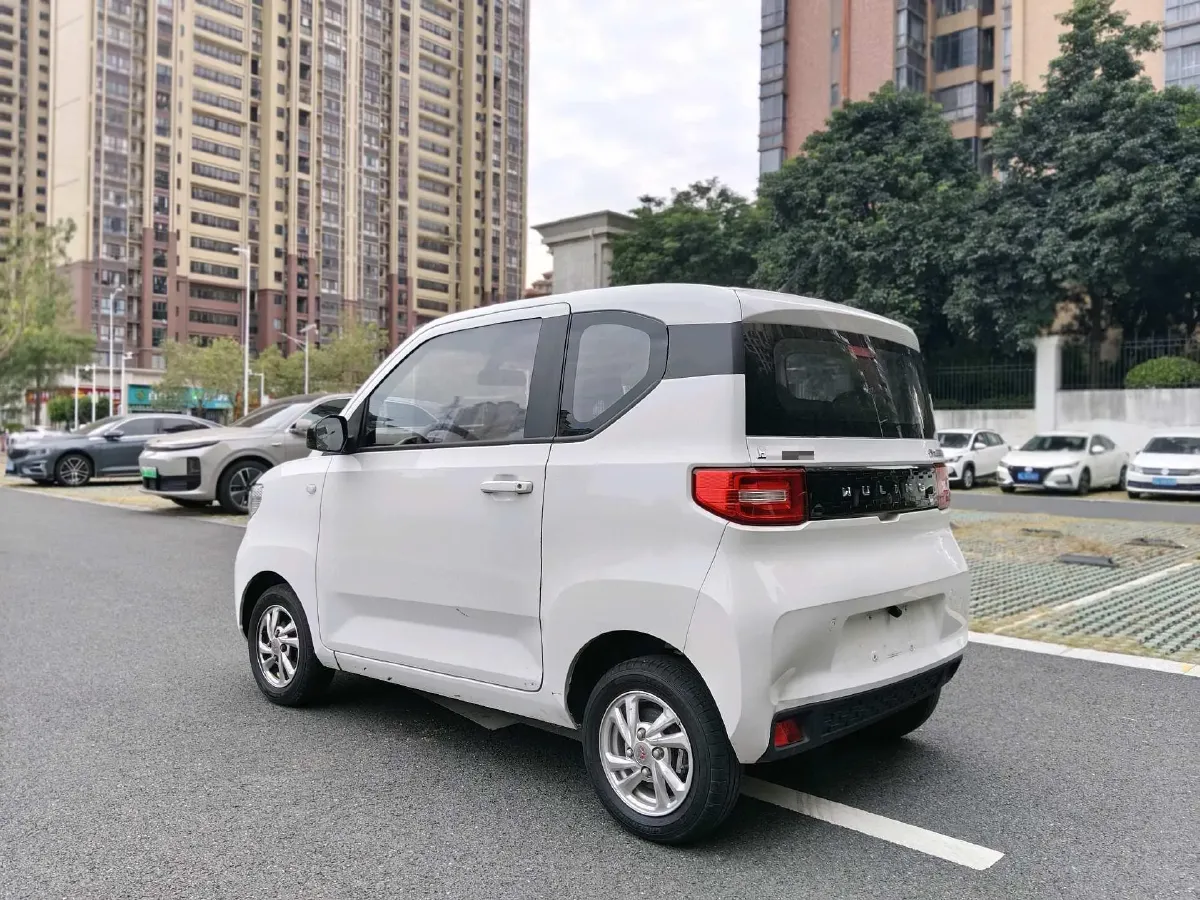2021 WuLing HongGuang MINI EV BEV 9KWH,autocango,china used car exporter,china ev exporter,chinese used car exporter,chinese used ev exporter
