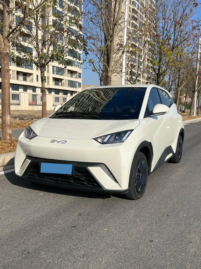 2025 BYD Seagull BEV 30.08KWH