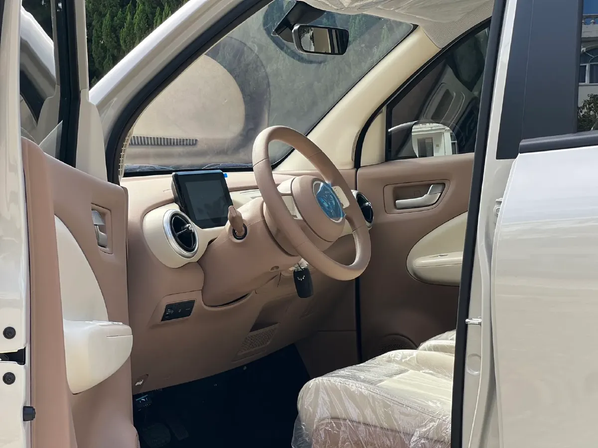 2025 WuLing HongGuang MINI EV BEV 16.2KWH,autocango,china used car exporter,china ev exporter,chinese used car exporter,chinese used ev exporter