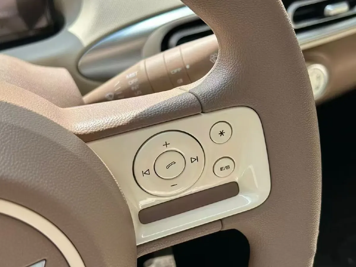 2025 WuLing HongGuang MINI EV BEV 16.2KWH,autocango,china used car exporter,china ev exporter,chinese used car exporter,chinese used ev exporter