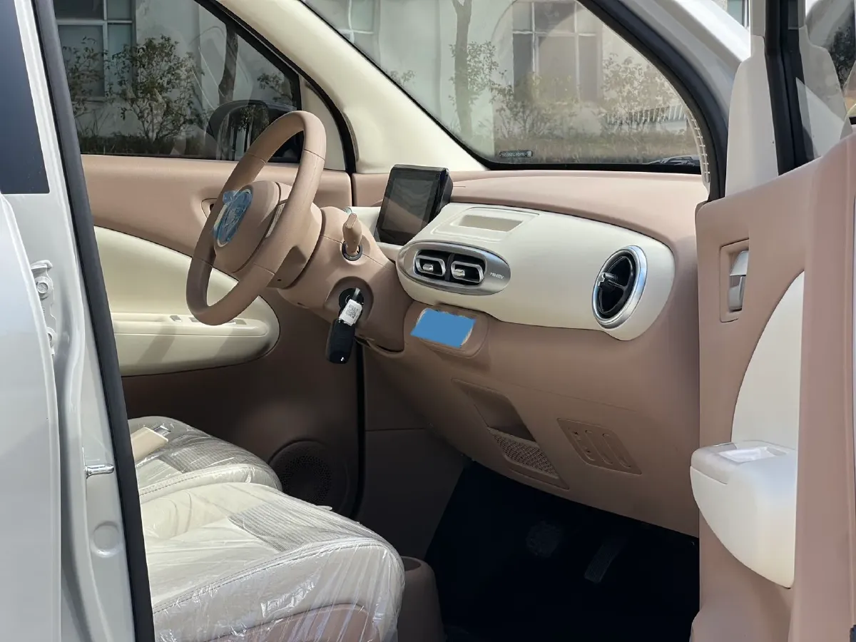 2025 WuLing HongGuang MINI EV BEV 16.2KWH,autocango,china used car exporter,china ev exporter,chinese used car exporter,chinese used ev exporter