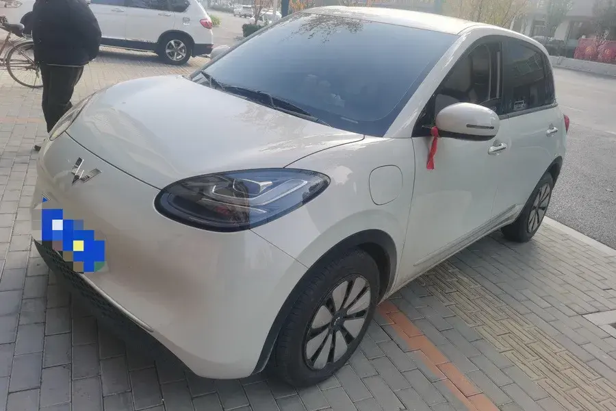 2023 WuLing BinGuo BEV 31.9KWH