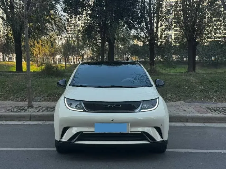 2023 BYD Dolphin BEV 44.928KWH,autocango,china used car exporter,china ev exporter,chinese used car exporter,chinese used ev exporter