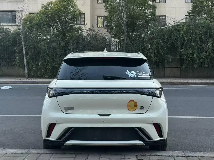 2023 BYD Dolphin BEV 44.928KWH,autocango,china used car exporter,china ev exporter,chinese used car exporter,chinese used ev exporter