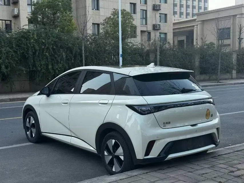 2023 BYD Dolphin BEV 44.928KWH,autocango,china used car exporter,china ev exporter,chinese used car exporter,chinese used ev exporter