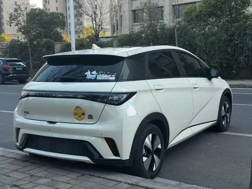 2023 BYD Dolphin BEV 44.928KWH,autocango,china used car exporter,china ev exporter,chinese used car exporter,chinese used ev exporter