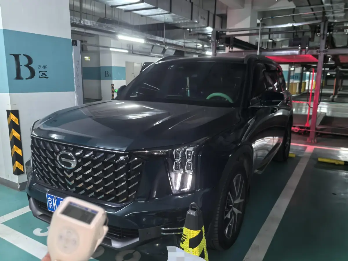 2022 GAC Trumpchi GS8 2.0T 252HP L4 8AT