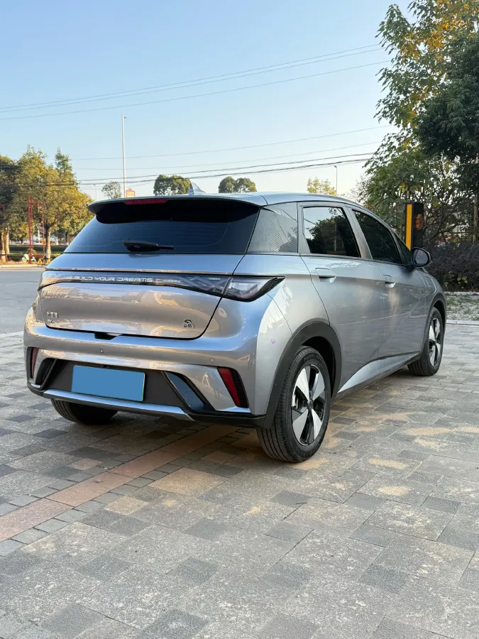 2023 BYD Dolphin BEV 44.928KWH,autocango,china used car exporter,china ev exporter,chinese used car exporter,chinese used ev exporter