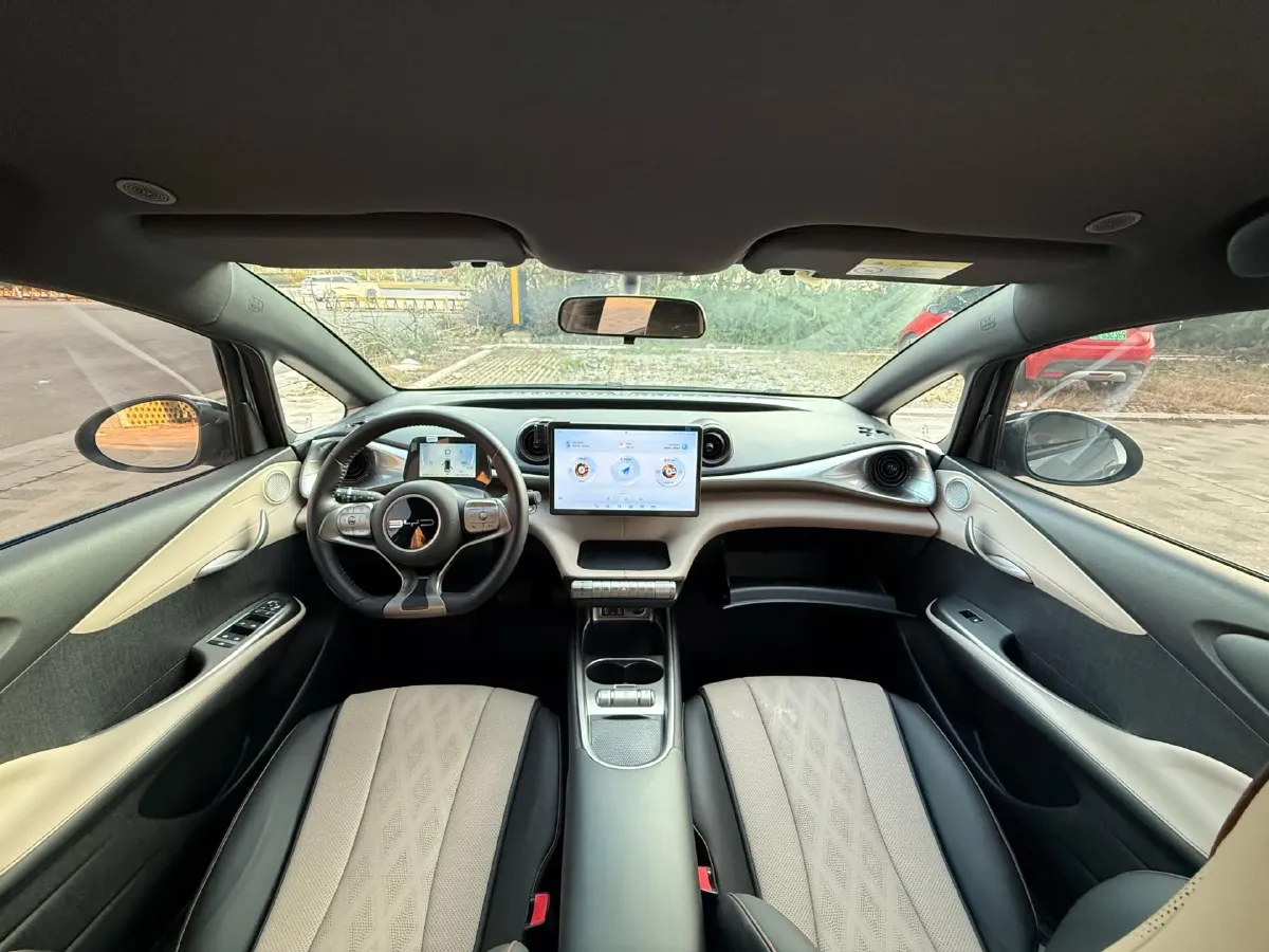 2023 BYD Dolphin BEV 44.928KWH,autocango,china used car exporter,china ev exporter,chinese used car exporter,chinese used ev exporter