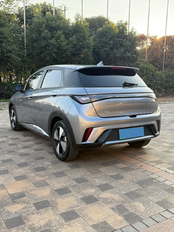 2023 BYD Dolphin BEV 44.928KWH,autocango,china used car exporter,china ev exporter,chinese used car exporter,chinese used ev exporter