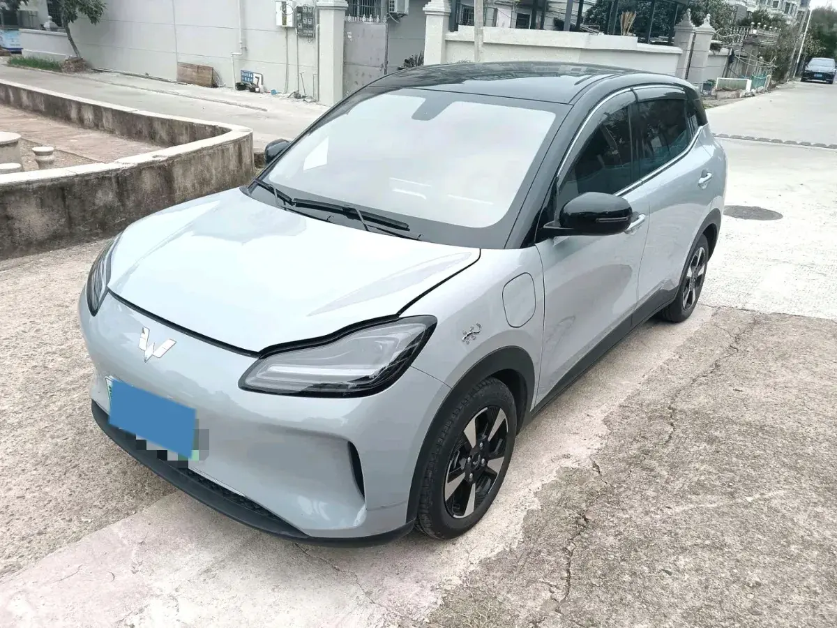2024 WuLing BinGuoPLUS BEV 50.6KWH