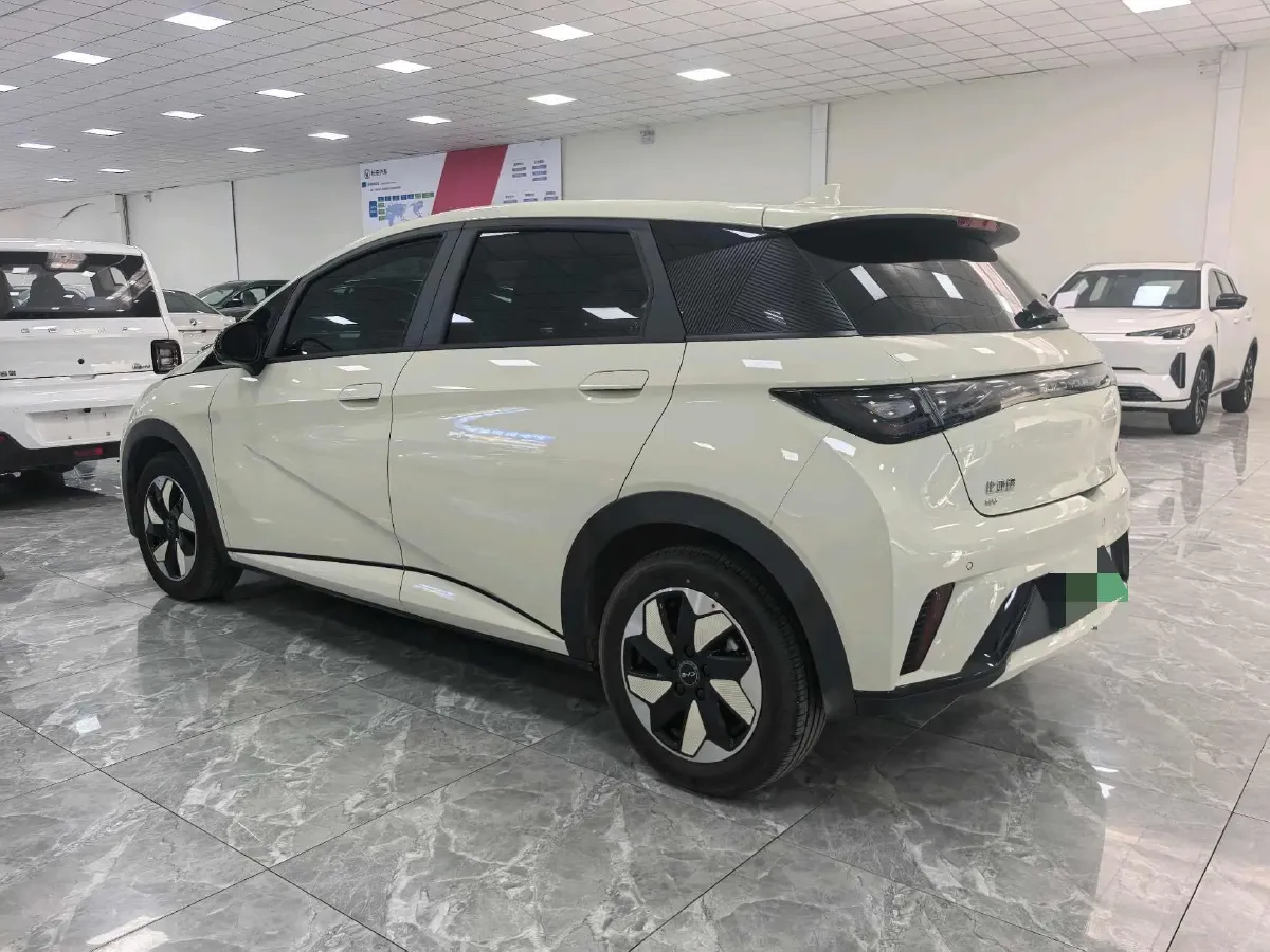 2025 BYD Dolphin BEV 44.928KWH,autocango,china used car exporter,china ev exporter,chinese used car exporter,chinese used ev exporter