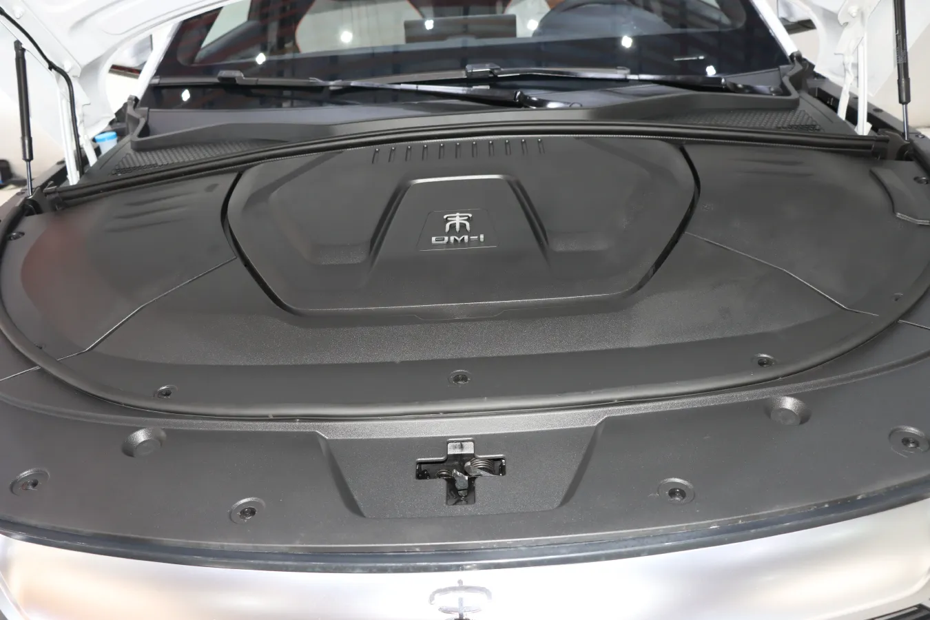 2021 BYD Qin BEV 53.56KWH,autocango,china used car exporter,china ev exporter,chinese used car exporter,chinese used ev exporter