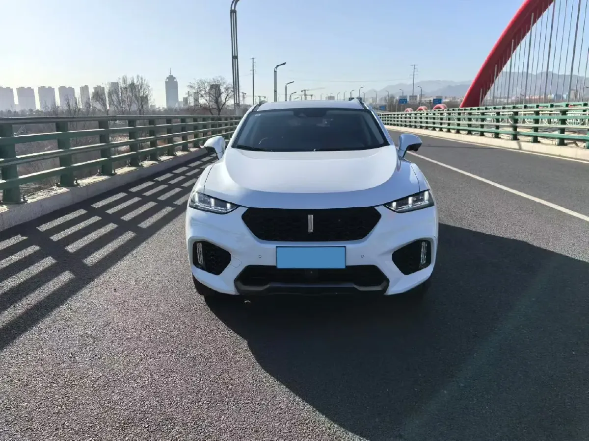 2019 WEY VV7 2.0T 234HP L4 7DCT,autocango,china used car exporter,china ev exporter,chinese used car exporter,chinese used ev exporter