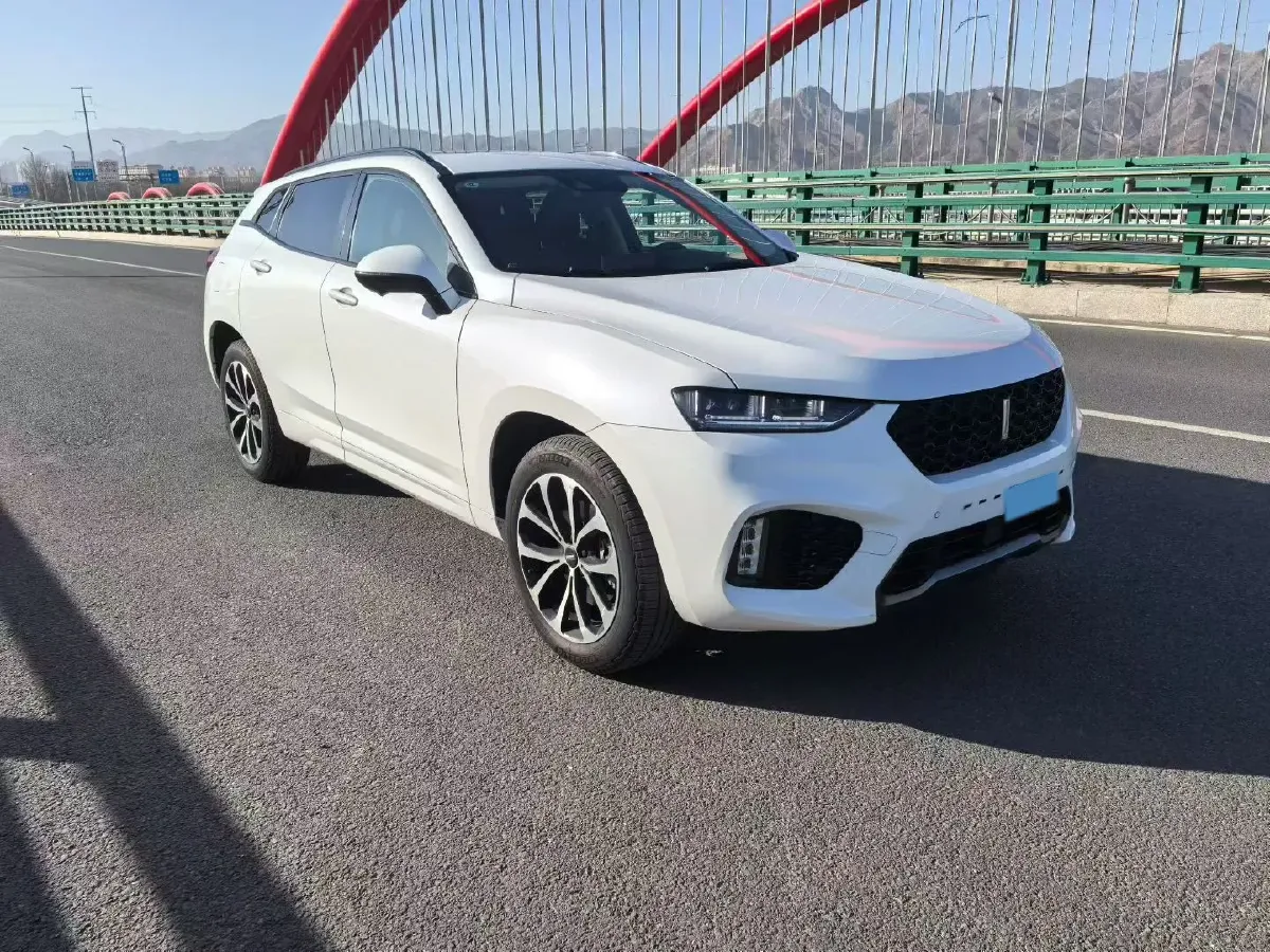 2019 WEY VV7 2.0T 234HP L4 7DCT,autocango,china used car exporter,china ev exporter,chinese used car exporter,chinese used ev exporter