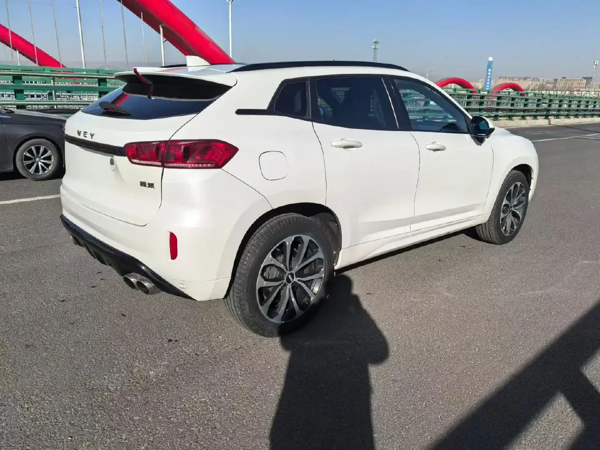 2019 WEY VV7 2.0T 234HP L4 7DCT,autocango,china used car exporter,china ev exporter,chinese used car exporter,chinese used ev exporter
