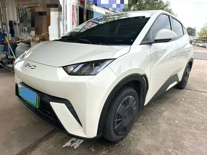 2024 BYD Seagull BEV 30.08KWH