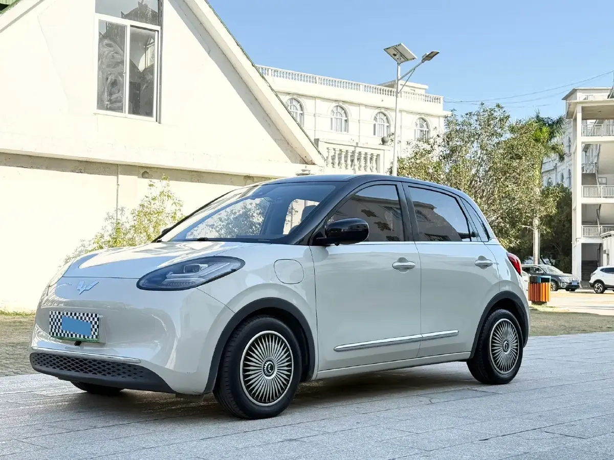 2023 WuLing BinGuo BEV 31.9KWH