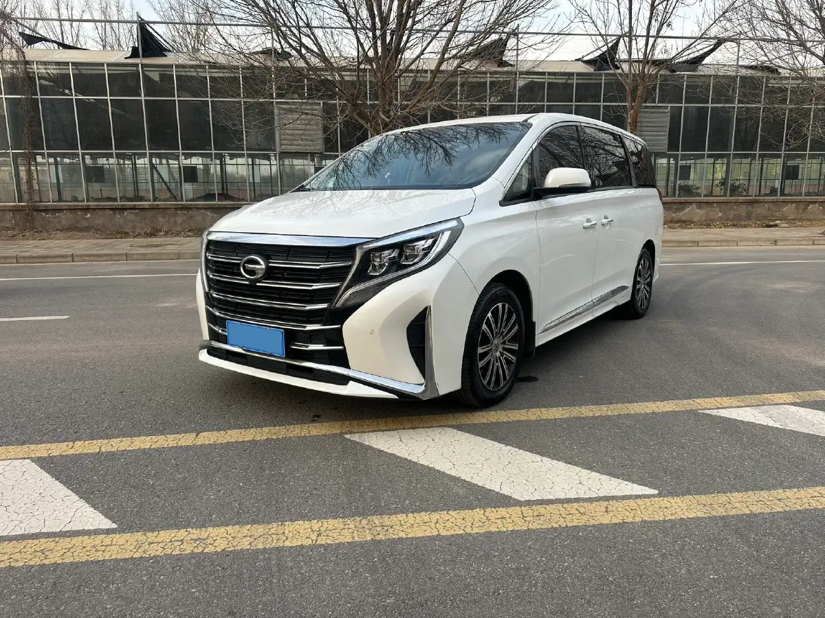 2021 GAC Trumpchi M8 2.0T 252HP L4 8AT