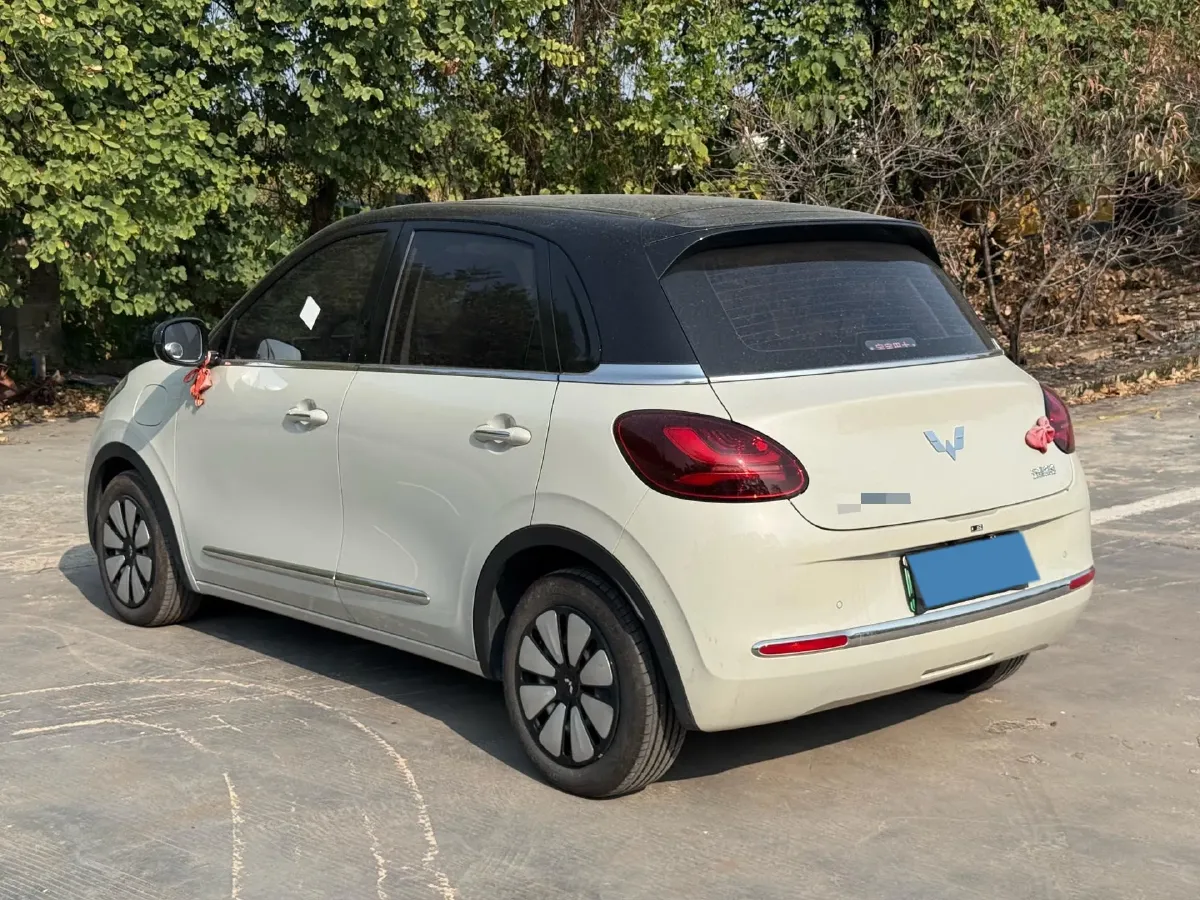 2023 WuLing BinGuo BEV 37.9KWH,autocango,china used car exporter,china ev exporter,chinese used car exporter,chinese used ev exporter