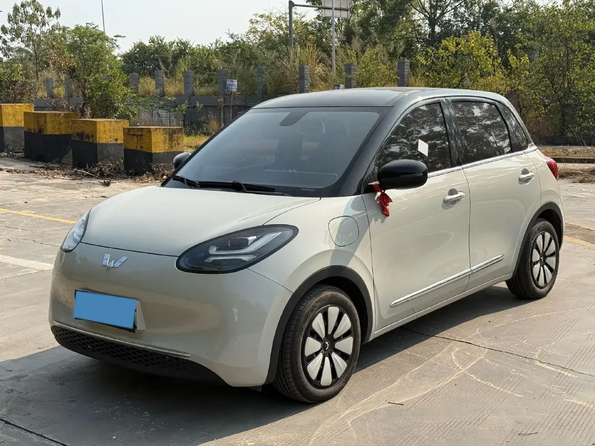 2023 WuLing BinGuo BEV 37.9KWH,autocango,china used car exporter,china ev exporter,chinese used car exporter,chinese used ev exporter
