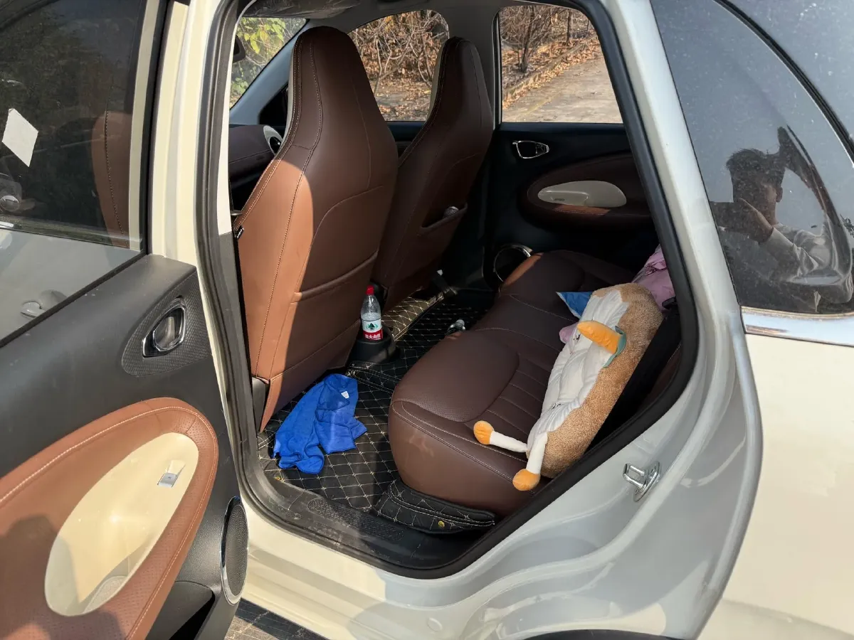 2023 WuLing BinGuo BEV 37.9KWH,autocango,china used car exporter,china ev exporter,chinese used car exporter,chinese used ev exporter