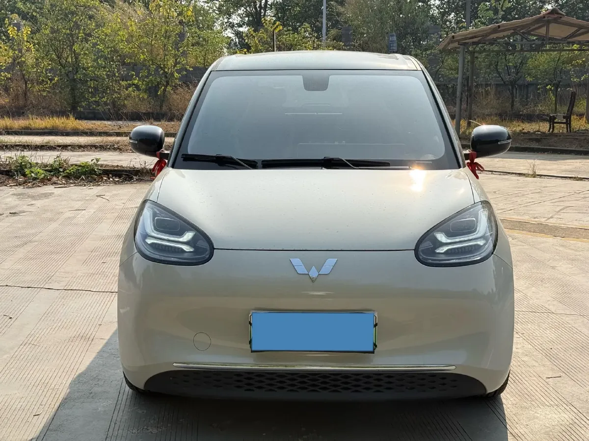 2023 WuLing BinGuo BEV 37.9KWH,autocango,china used car exporter,china ev exporter,chinese used car exporter,chinese used ev exporter