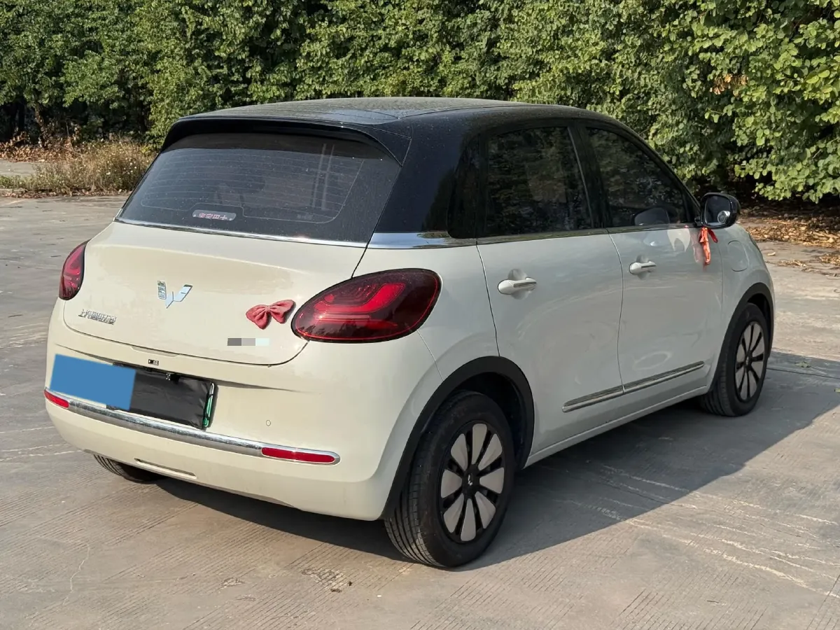 2023 WuLing BinGuo BEV 37.9KWH,autocango,china used car exporter,china ev exporter,chinese used car exporter,chinese used ev exporter