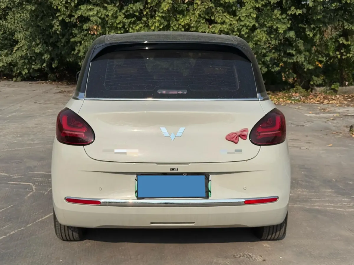 2023 WuLing BinGuo BEV 37.9KWH,autocango,china used car exporter,china ev exporter,chinese used car exporter,chinese used ev exporter